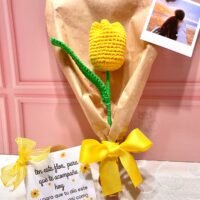 Tulipán + fotografía